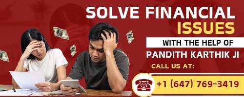 Famous Financial Problems Solution Astrologer in Brampton